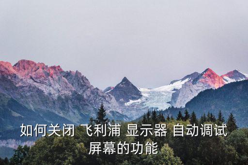 飛利浦顯示器自動調(diào)整,觸發(fā)器自動調(diào)整顯示器不需要模數(shù)轉(zhuǎn)換