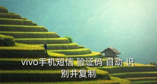自動識別填寫驗證碼,自動編碼軟件需要滿足什么條件?