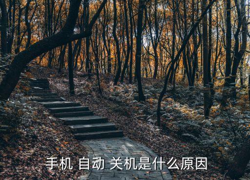  手機 自動 關機是什么原因