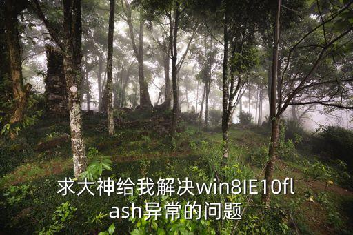 ie10自動(dòng)修復(fù),計(jì)算機(jī)出現(xiàn)病例如何恢復(fù)正常運(yùn)作?