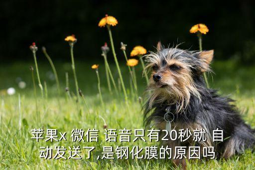 手機(jī)微信語(yǔ)音自動(dòng)發(fā)出,微信語(yǔ)音不清楚怎么辦?