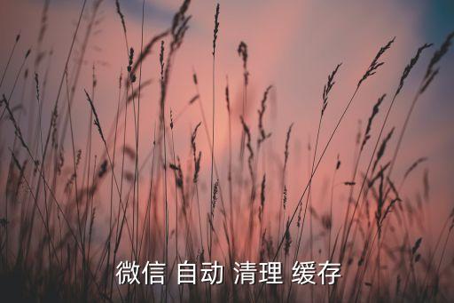  微信 自動(dòng) 清理 緩存