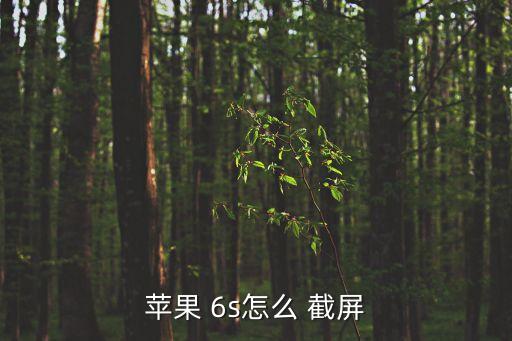 6s截屏自動(dòng)分享,如何使用apple6s截屏?