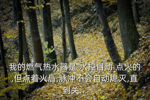 水控全自動(dòng)點(diǎn)火,點(diǎn)火系統(tǒng)進(jìn)入正常工作狀態(tài)燃?xì)鉄崴鞴收犀F(xiàn)象