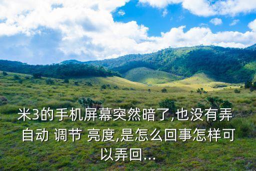 米3的手機屏幕突然暗了,也沒有弄 自動 調節(jié) 亮度,是怎么回事怎樣可以弄回...