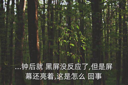 5s自動(dòng)黑屏是怎么回事,蘋果手機(jī)黑屏怎么辦?可以這樣做