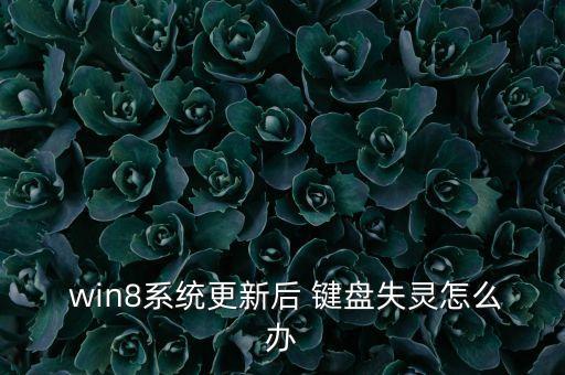  win8系統(tǒng)更新后 鍵盤失靈怎么辦