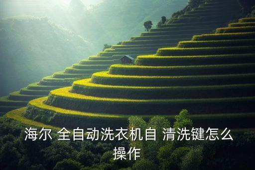  海爾 全自動洗衣機自 清洗鍵怎么操作