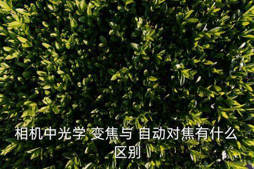 相機(jī)中光學(xué) 變焦與 自動對焦有什么區(qū)別