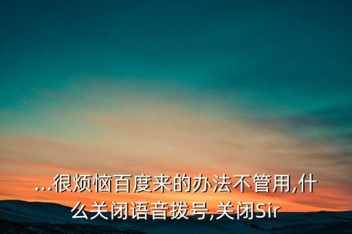 sir自動(dòng)打開,點(diǎn)擊下面鎖屏就可以使用siri了