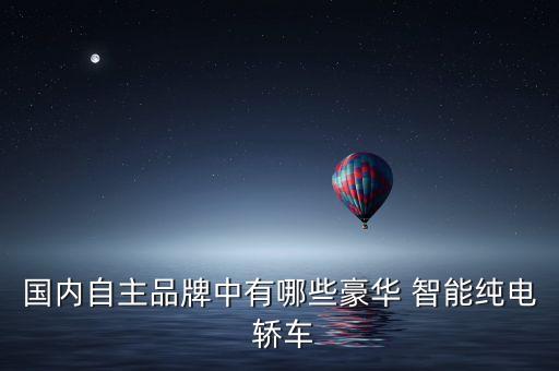 國內(nèi)自主品牌中有哪些豪華 智能純電 轎車