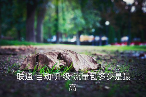 聯(lián)通 流量自動(dòng)升級(jí)包,中國(guó)網(wǎng)絡(luò)通信有限公司推出自動(dòng)升級(jí)套餐