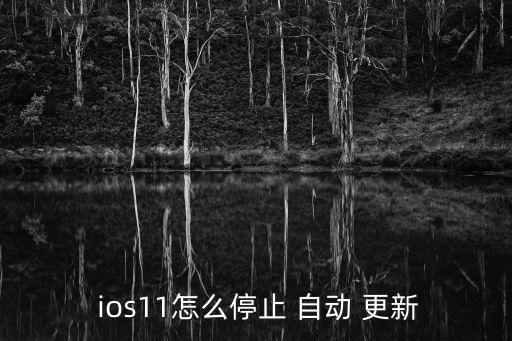  ios11怎么停止 自動 更新