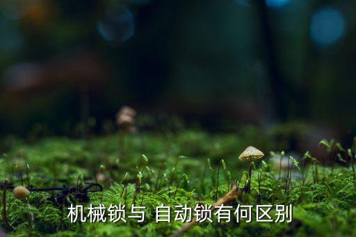 機(jī)械數(shù)碼自動鎖在哪買,6.機(jī)械鎖安全可靠性高可靠度高