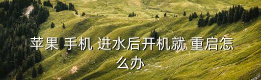  蘋果 手機(jī) 進(jìn)水后開機(jī)就 重啟怎么辦