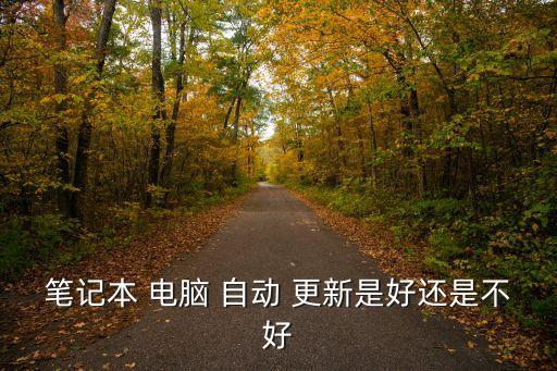 電腦自動更新好嗎,自動更新就是讓你的操作系統(tǒng)更易用