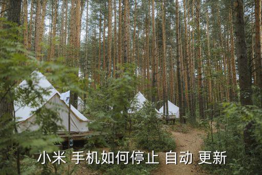  小米 手機(jī)如何停止 自動(dòng) 更新
