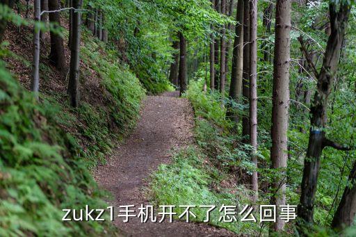  zukz1手機開不了怎么回事