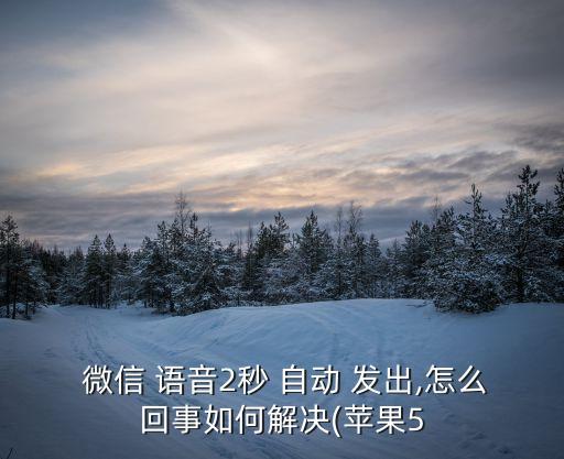  微信 語音2秒 自動 發(fā)出,怎么回事如何解決(蘋果5