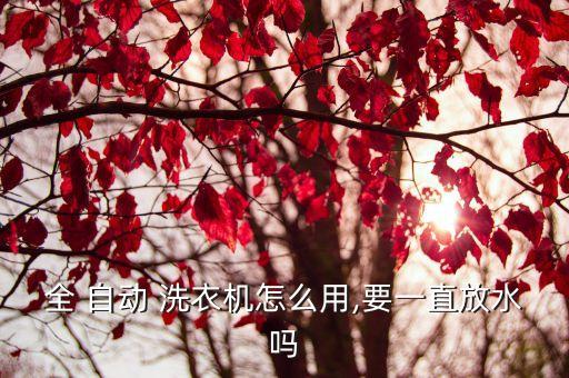 全 自動(dòng) 洗衣機(jī)怎么用,要一直放水嗎