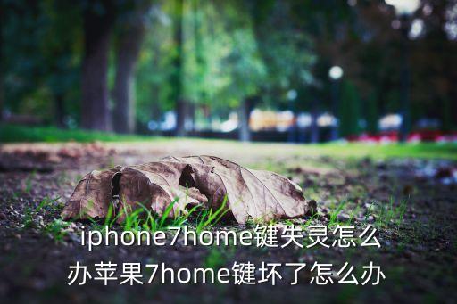  iphone7home鍵失靈怎么辦蘋果7home鍵壞了怎么辦