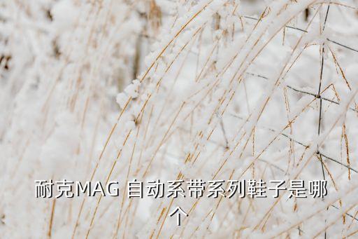  耐克MAG 自動系帶系列鞋子是哪個