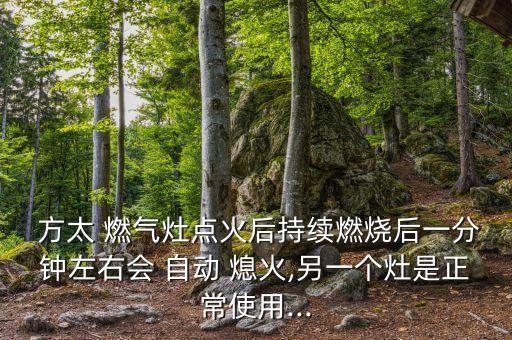 全新方太燃?xì)庠?自動熄火,燃?xì)鈴N房(鑲嵌式)