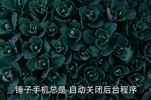  錘子手機(jī)總是 自動關(guān)閉后臺程序
