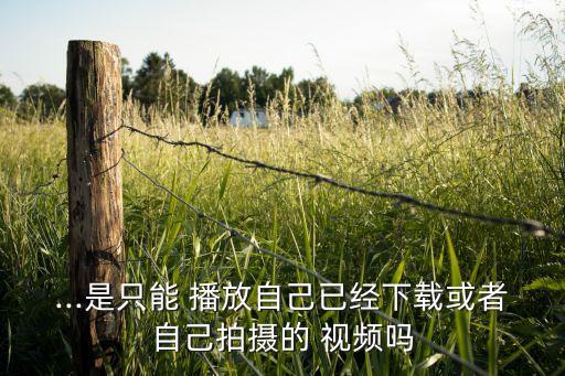 ...是只能 播放自己已經下載或者自己拍攝的 視頻嗎