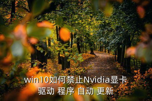 win10如何禁止Nvidia顯卡驅(qū)動 程序 自動 更新