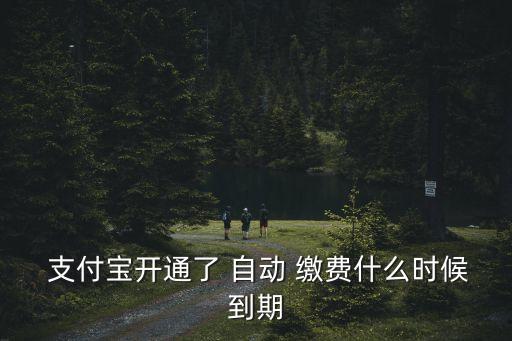 租房支付寶自動繳費,支付寶-2繳費如何進行自動繳費?