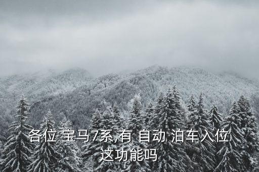 730寶馬領(lǐng)先自動泊車,寶馬730和寶馬740有哪些不同?