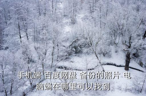 百度云自動(dòng)備份手機(jī)照片到電腦,三大備份工具助你備份重要照片