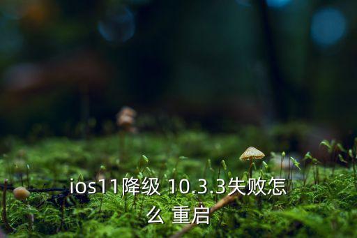 ios11降級 10.3.3失敗怎么 重啟