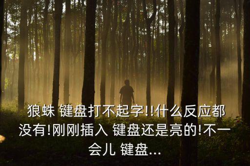  狼蛛 鍵盤打不起字!!什么反應(yīng)都沒有!剛剛插入 鍵盤還是亮的!不一會兒 鍵盤...