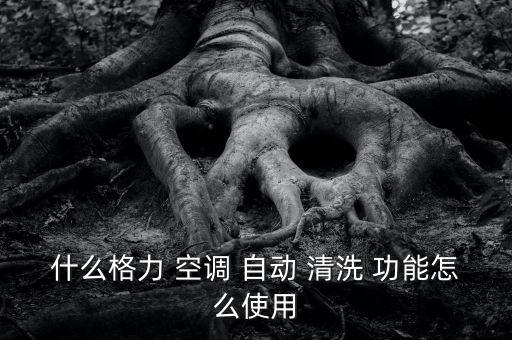 什么格力 空調(diào) 自動(dòng) 清洗 功能怎么使用