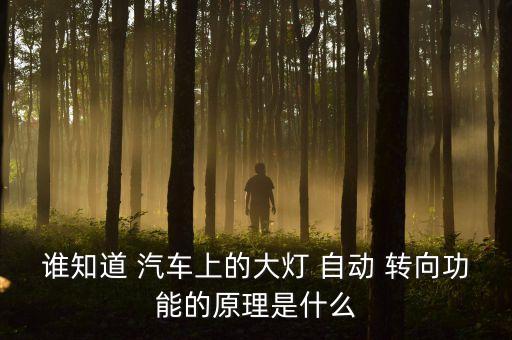誰知道 汽車上的大燈 自動 轉(zhuǎn)向功能的原理是什么