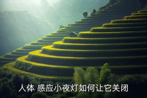 人體 感應(yīng)小夜燈如何讓它關(guān)閉