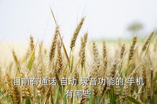目前有通話 自動 錄音功能的 手機有哪些