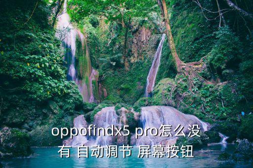 oppofindx5 pro怎么沒有 自動調(diào)節(jié) 屏幕按鈕