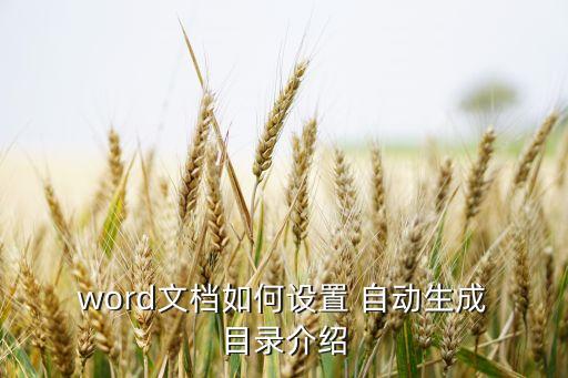  word文檔如何設(shè)置 自動生成 目錄介紹