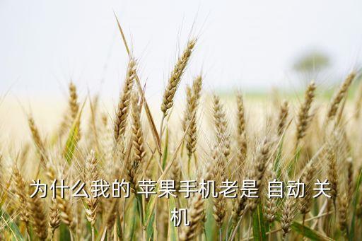 蘋果開機(jī)一會(huì)自動(dòng)關(guān)機(jī),蘋果手機(jī)自動(dòng)關(guān)機(jī)可能有三大原因