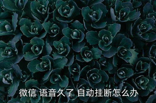  微信 語音久了 自動(dòng)掛斷怎么辦