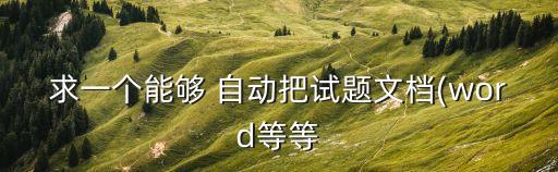 求一個能夠 自動把試題文檔(word等等