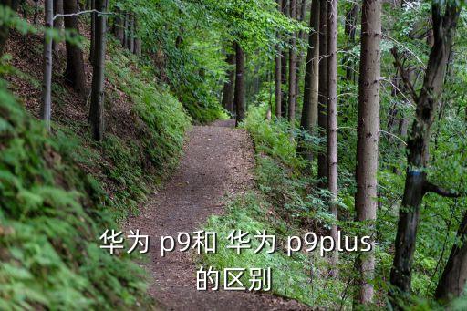 華為p9攝像自動(dòng)跟蹤,華為p99旗下手機(jī)排名第二