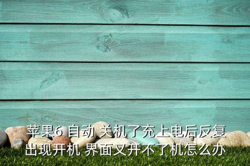  蘋果6 自動 關機了充上電后反復出現(xiàn)開機 界面又開不了機怎么辦