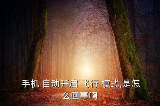  手機(jī) 自動開啟 飛行 模式,是怎么回事啊