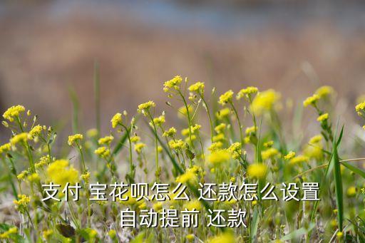 支付 寶花唄怎么 還款怎么設(shè)置 自動(dòng)提前 還款