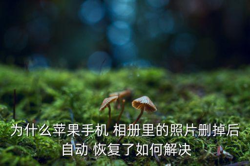 iphone 相冊(cè)自動(dòng)恢復(fù),iphone誤刪照片怎么找回?