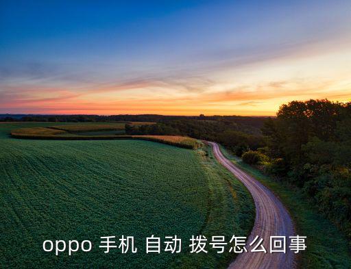 oppo 手機 自動 撥號怎么回事